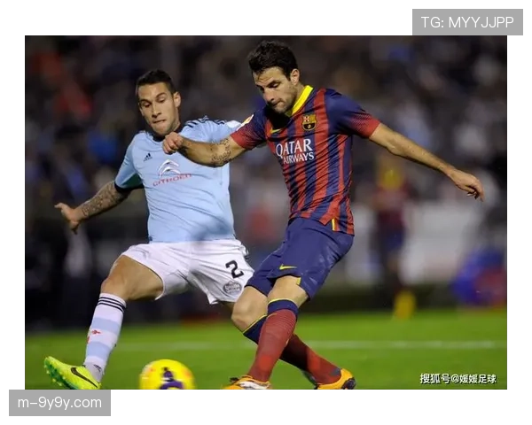 弗罗西诺内球员抗议判罚，比赛中断近五分钟